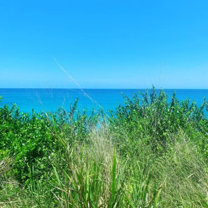 Epea Ocean View Top Victoria Kültér fotó